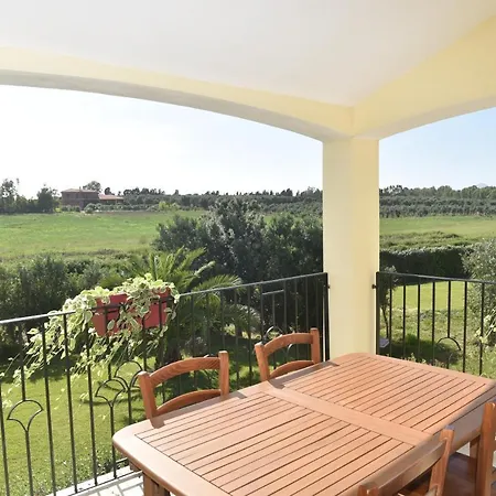 Palmas Dorada 3* Olmedo