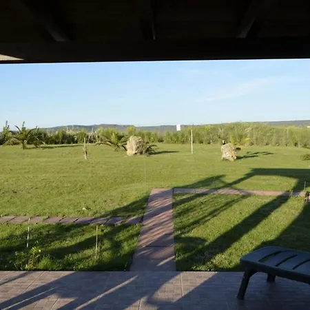 Palmas Dorada Olmedo