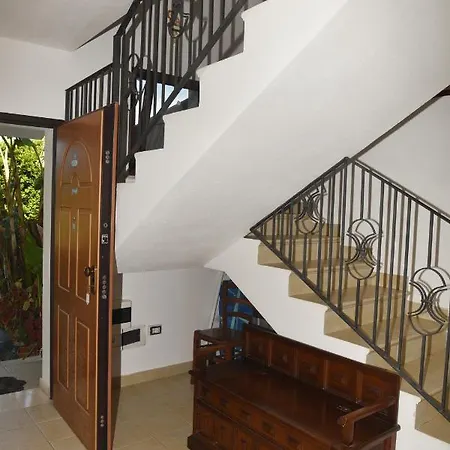 Palmas Dorada Olmedo