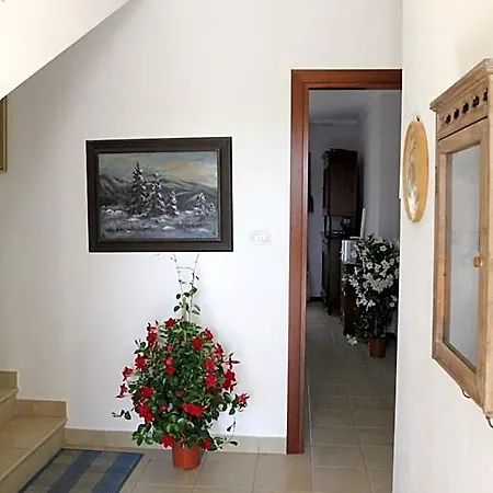 Bed & Breakfast Palmas Dorada 3*